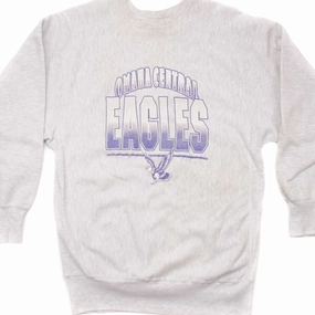 VINTAGE CHAMPION REVERSE WEAVE OMAHA CENTRAL EAGLES SWEATSHIRT 90S LARGE MADE US packable Unisex Comfort