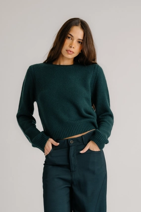 NOA SHRUNKEN CASHMERE CREWNECK SWEATER | SACRAMENTO Warm Touch