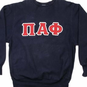 product label information Vintage Style VINTAGE CHAMPION REVERSE WEAVE PI ALPHA PHI SWEATSHIRT 1990S XL MADE USA