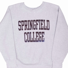 VINTAGE SPRINGFIELD COLLEGE GREY REVERSE WEAVE SWEATSHIRT 1990S LARGE Layered Fit